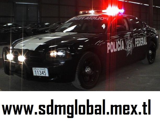 EQUIPAMIENTO PARA PATRULLAS TIPO SUBSEMUN PARA LA POLICIA MUNICIPAL ESTATAL Y FEDERAL SDM GLOBAL MEXICO TODO EN SEGURIDAD